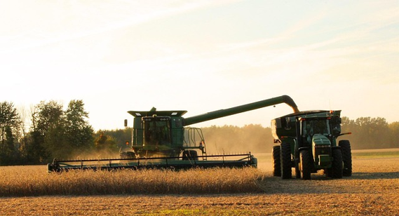 Reaping and Sowing